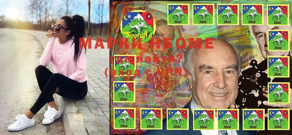прущие грибы Вязьма