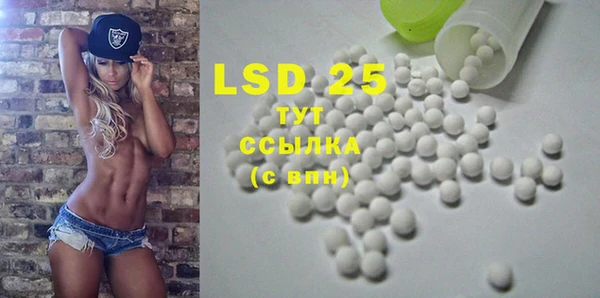 прущие грибы Вязьма