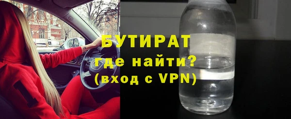 прущие грибы Вязьма