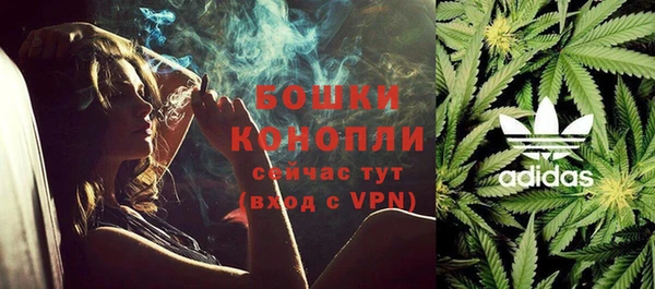 прущие грибы Вязьма