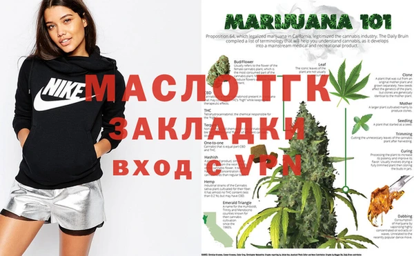 прущие грибы Вязьма