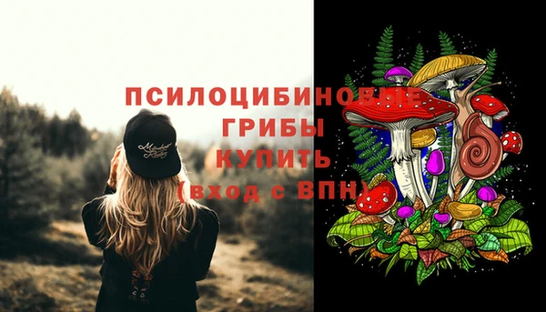 кокаин Вяземский