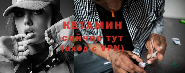 прущие грибы Вязьма