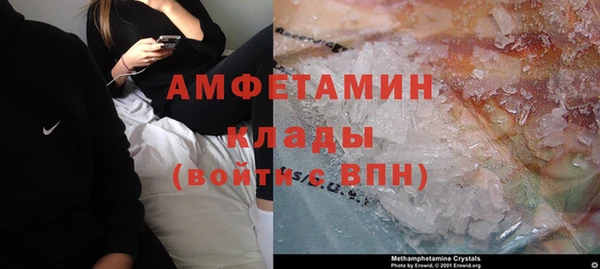 прущие грибы Вязьма